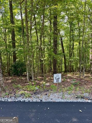 Lot 22 Blue Horizon Drive Blue Ridge GA 30513