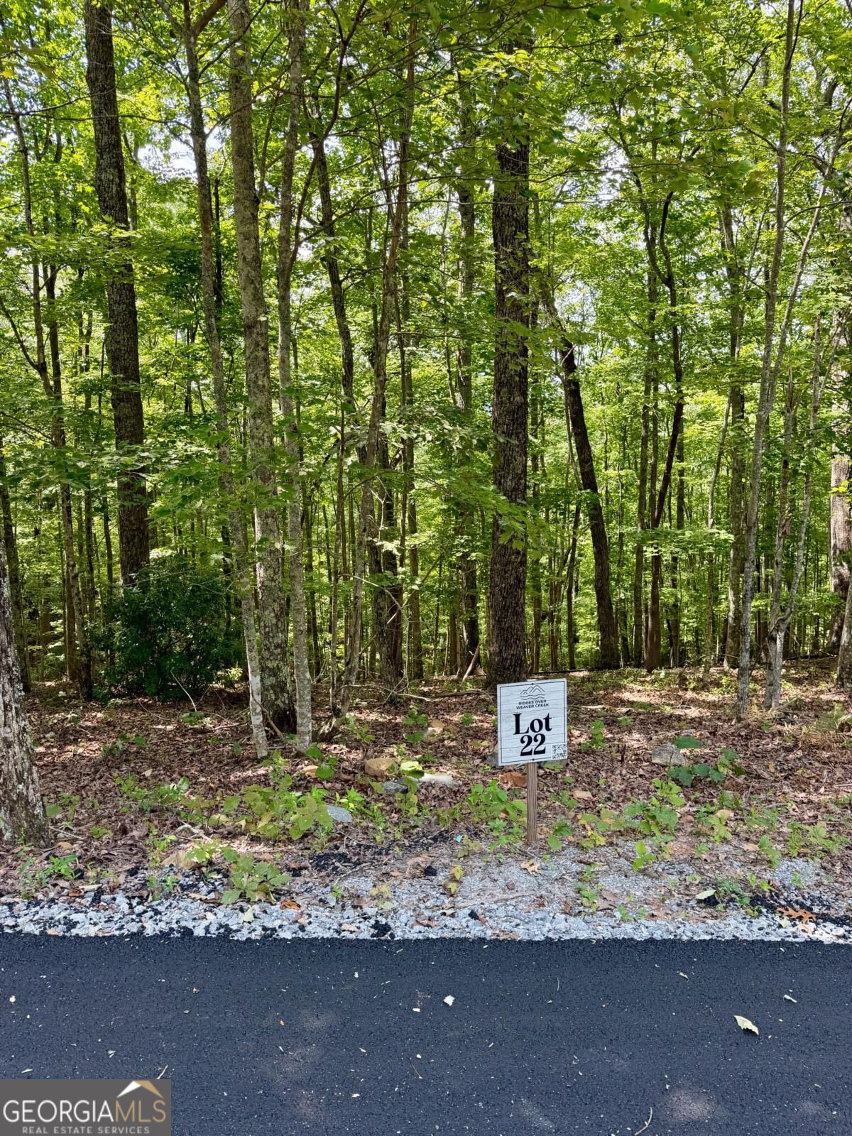 Lot 22 Blue Horizon Drive Blue Ridge GA 30513