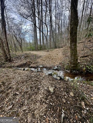 Lot 22 Blue Horizon Drive Blue Ridge GA 30513