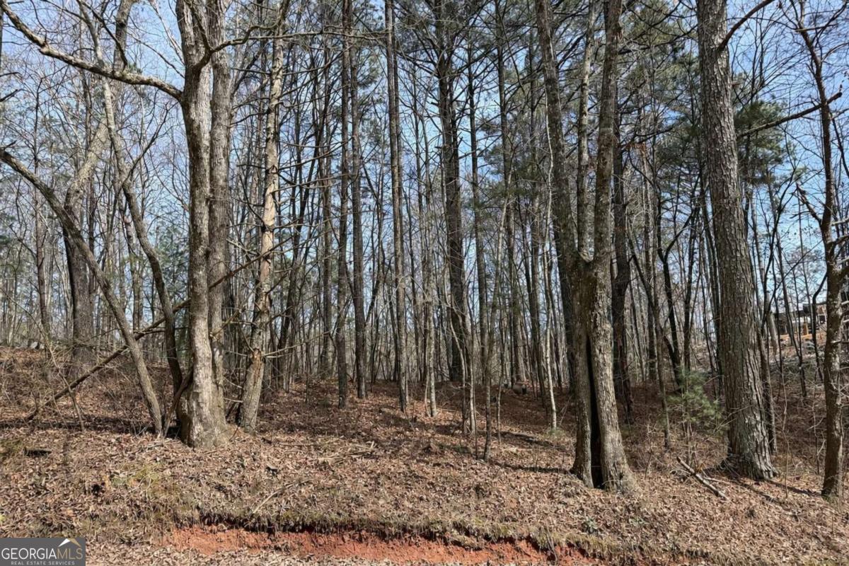 0 Bayou Drive Ellijay GA 30540
