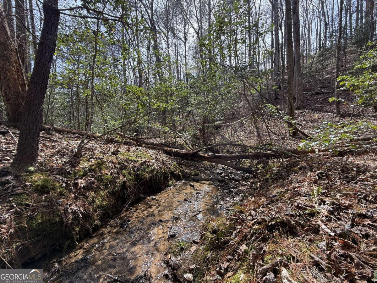 0 Bayou Drive Ellijay GA 30540