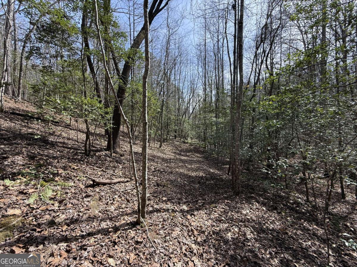 0 Bayou Drive Ellijay GA 30540