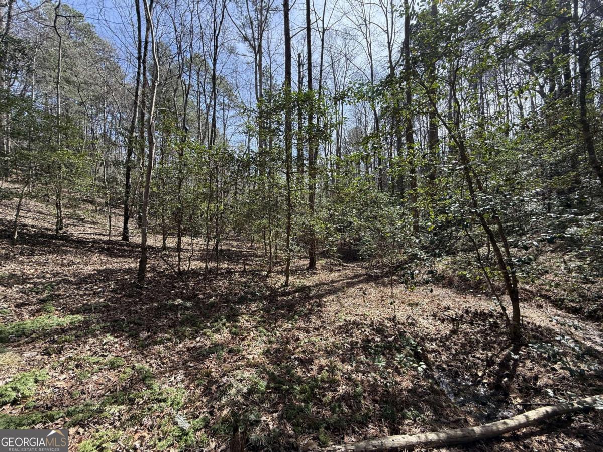 0 Bayou Drive Ellijay GA 30540