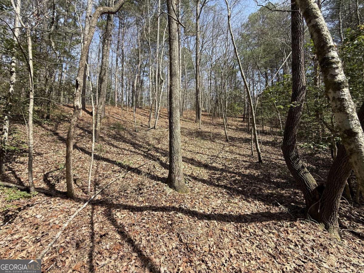 0 Bayou Drive Ellijay GA 30540