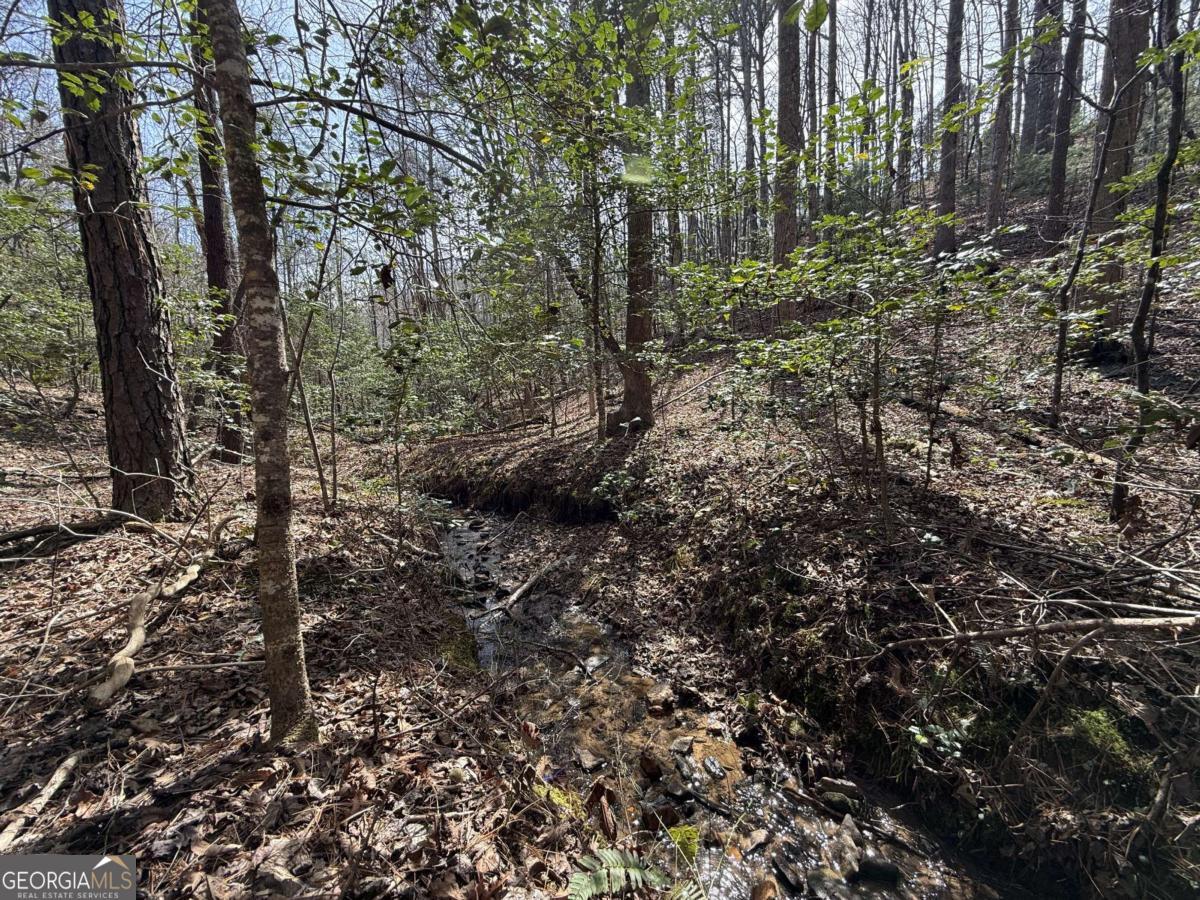 0 Bayou Drive Ellijay GA 30540