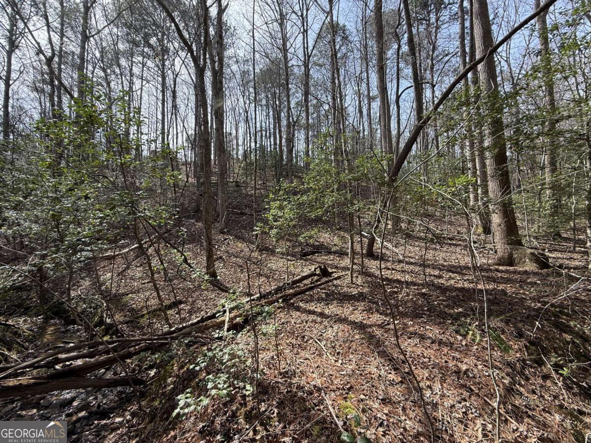 0 Bayou Drive Ellijay GA 30540