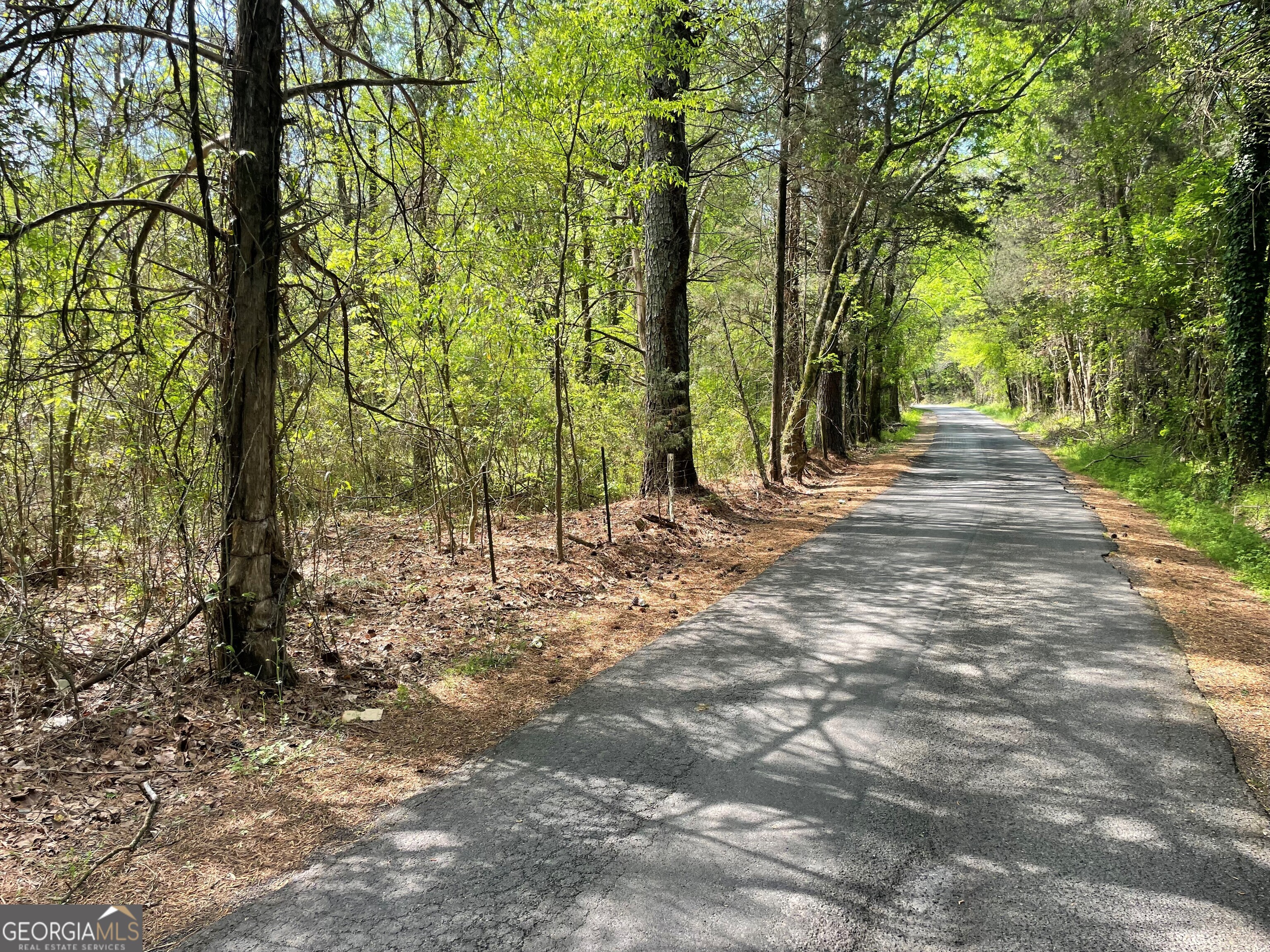 0 New Mathis Road Rome GA 30161