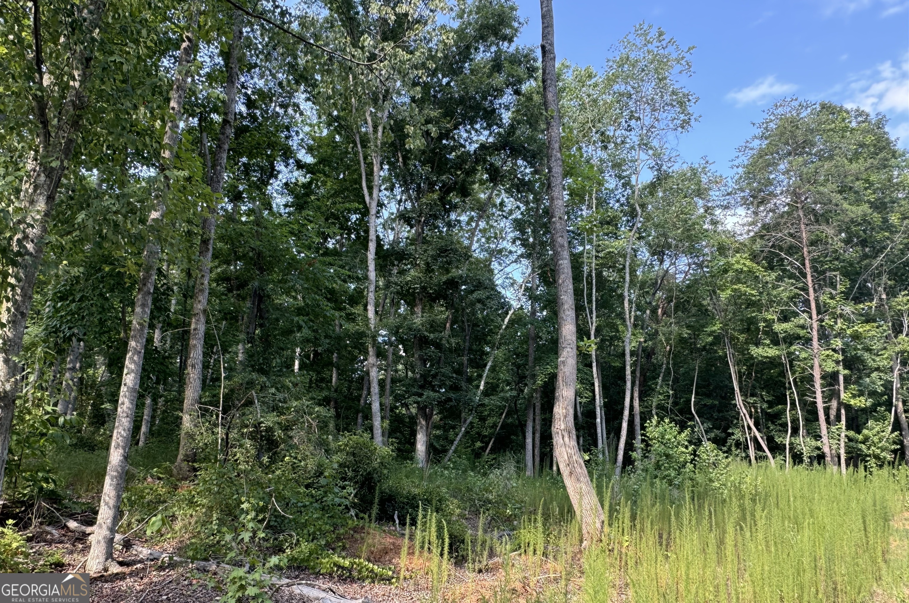 Lot 6 Parker Point Cornelia GA 30531