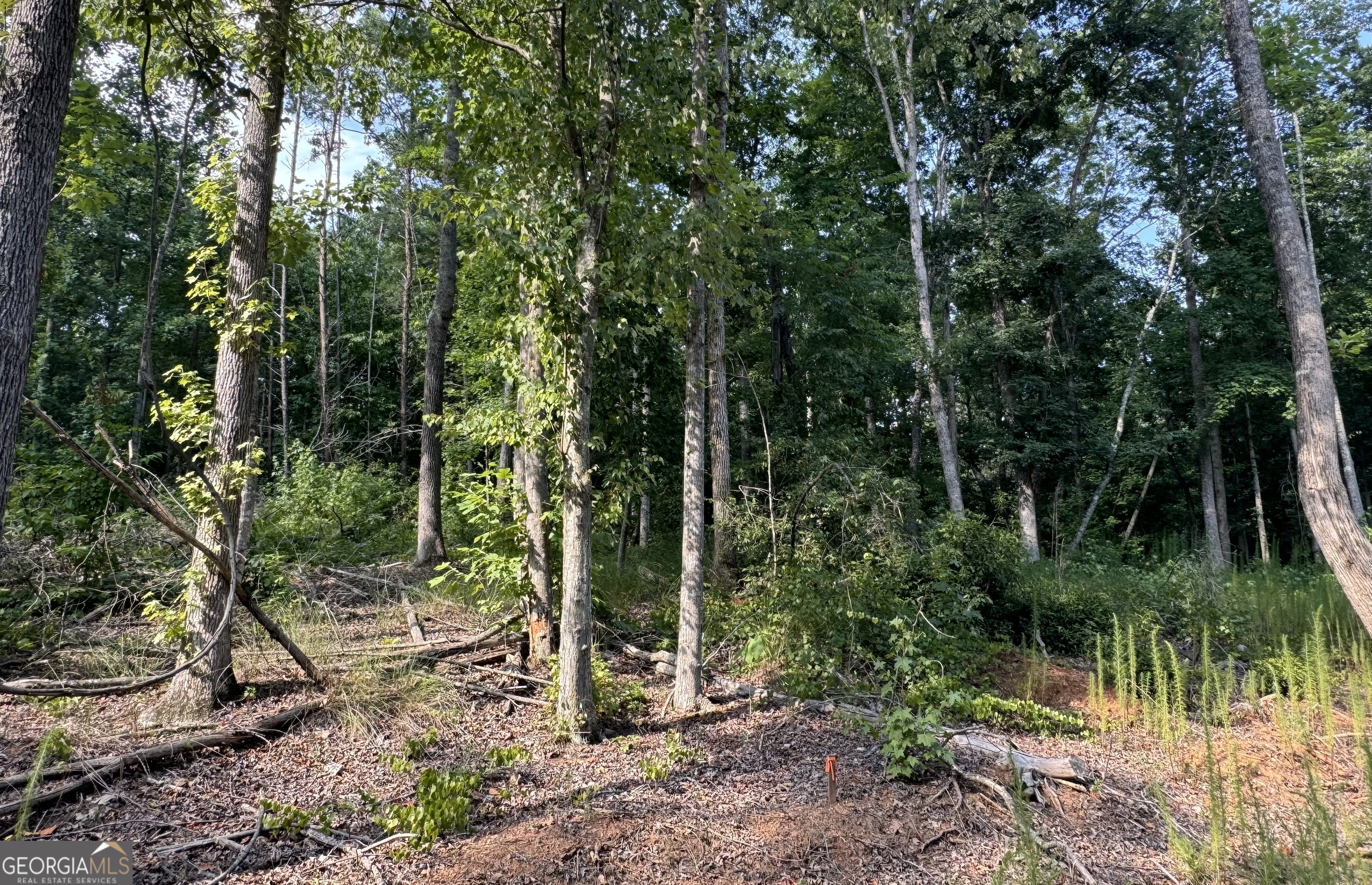 Lot 6 Parker Point Cornelia GA 30531