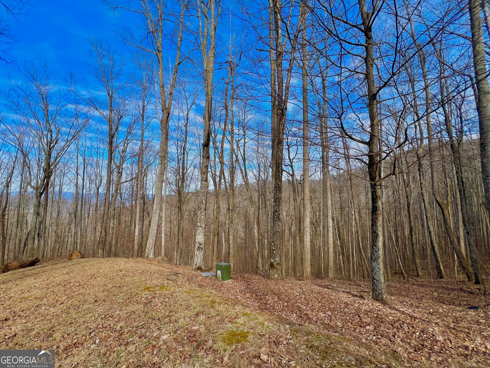 57 Rim Rock Young Harris GA 30582