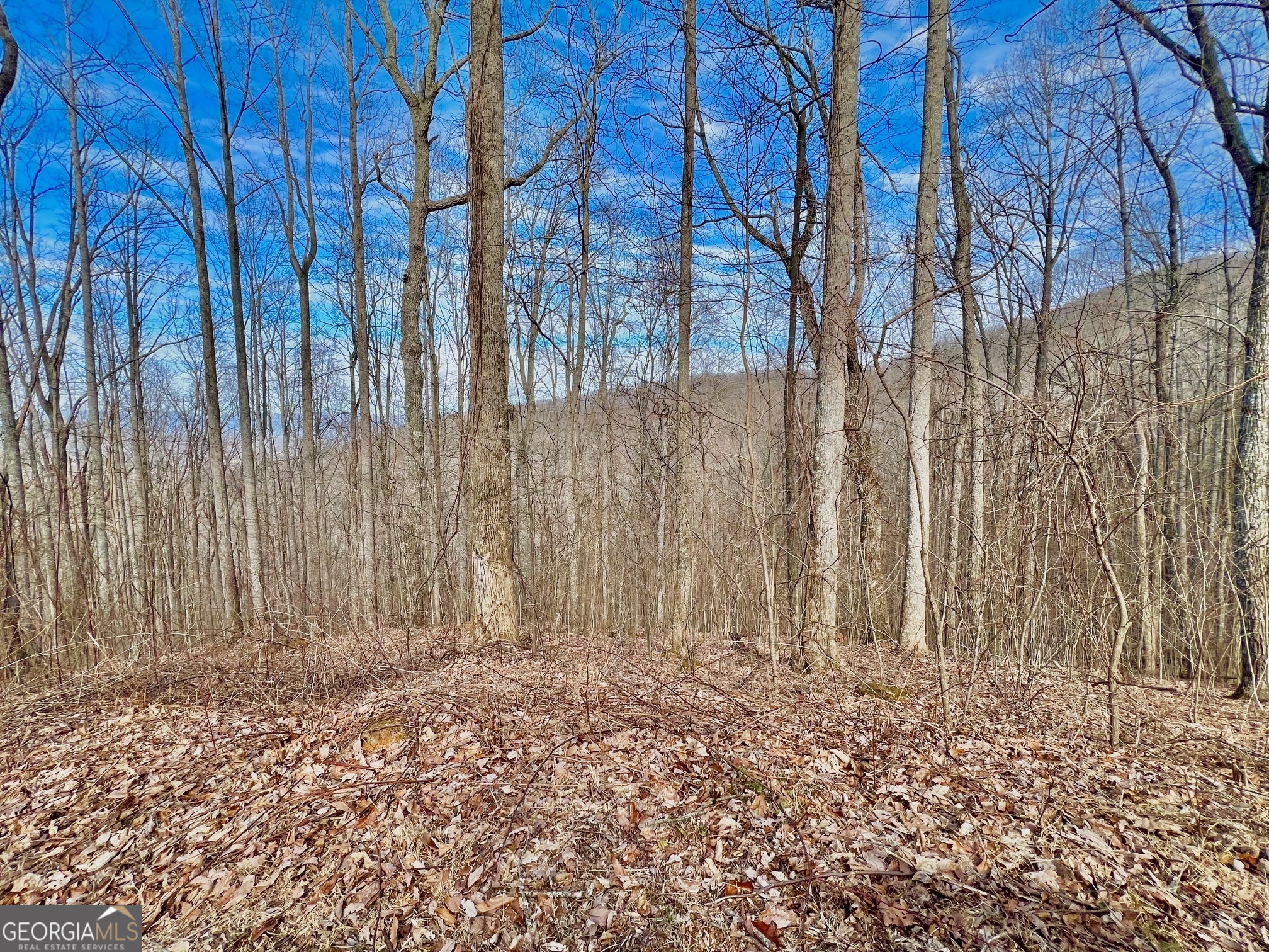 57 Rim Rock Young Harris GA 30582