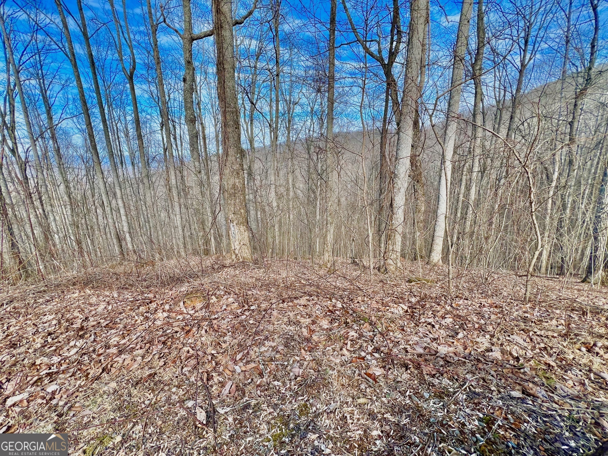 57 Rim Rock Young Harris GA 30582