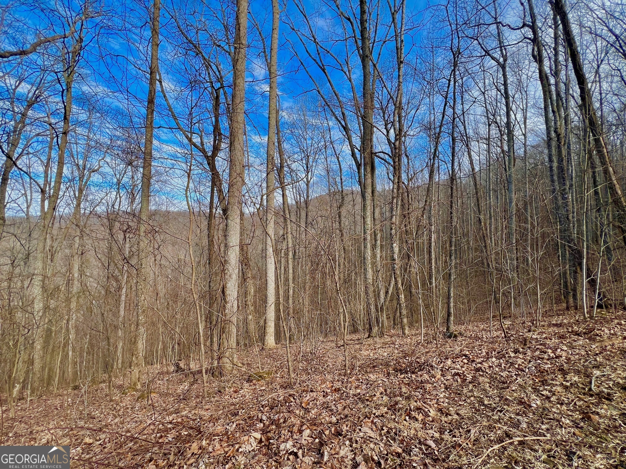 57 Rim Rock Young Harris GA 30582