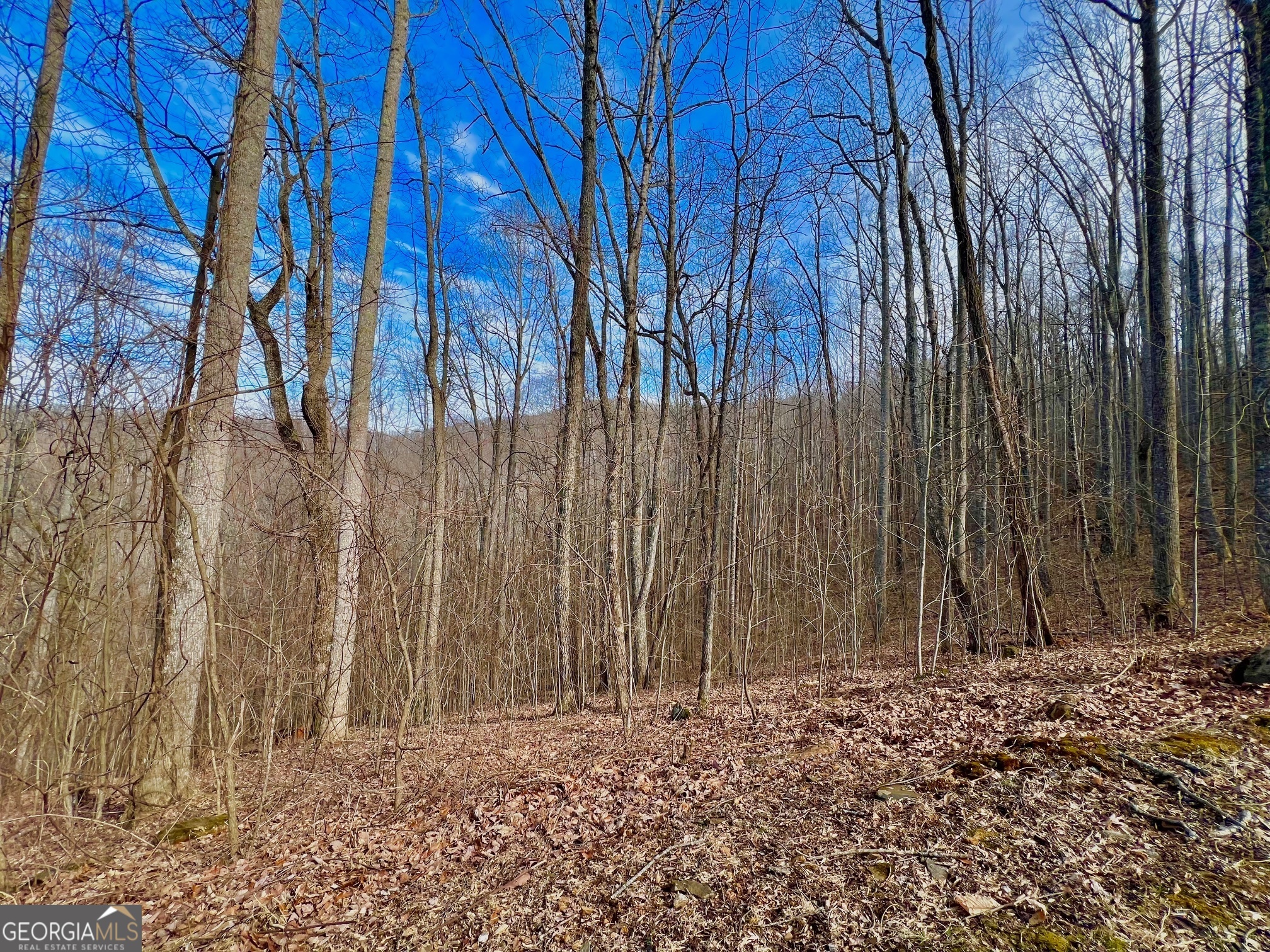 57 Rim Rock Young Harris GA 30582