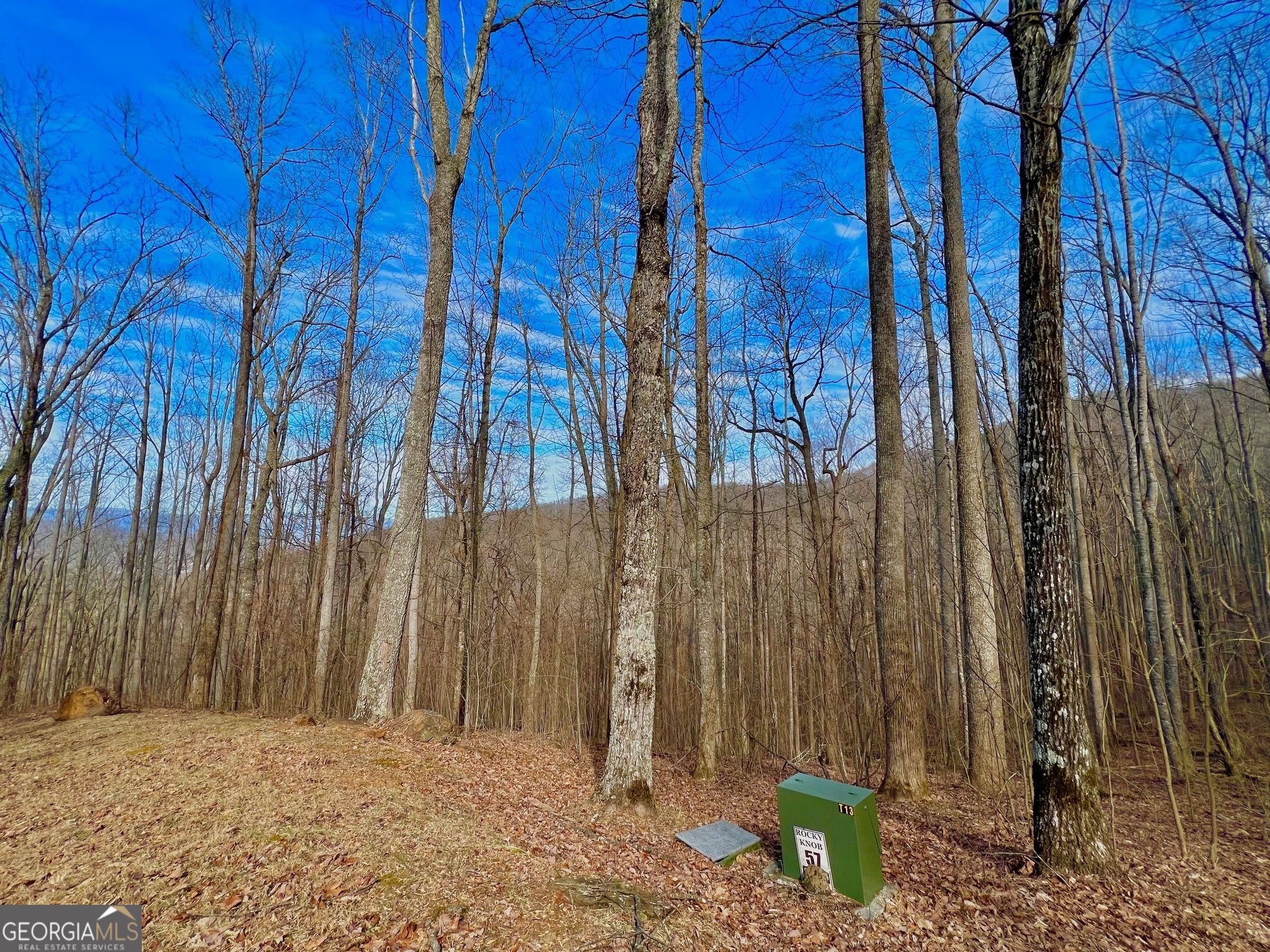 57 Rim Rock Young Harris GA 30582