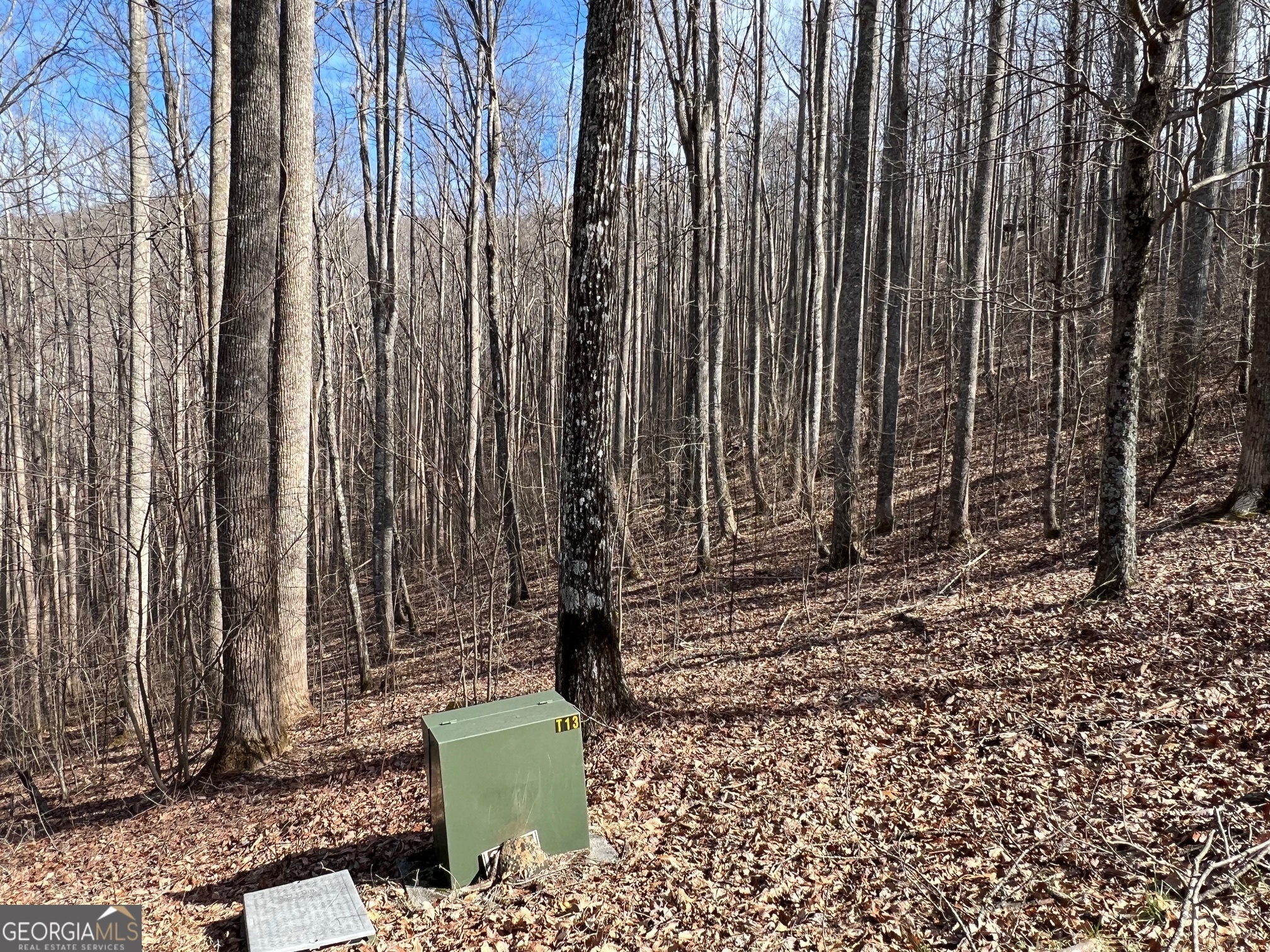 57 Rim Rock Young Harris GA 30582