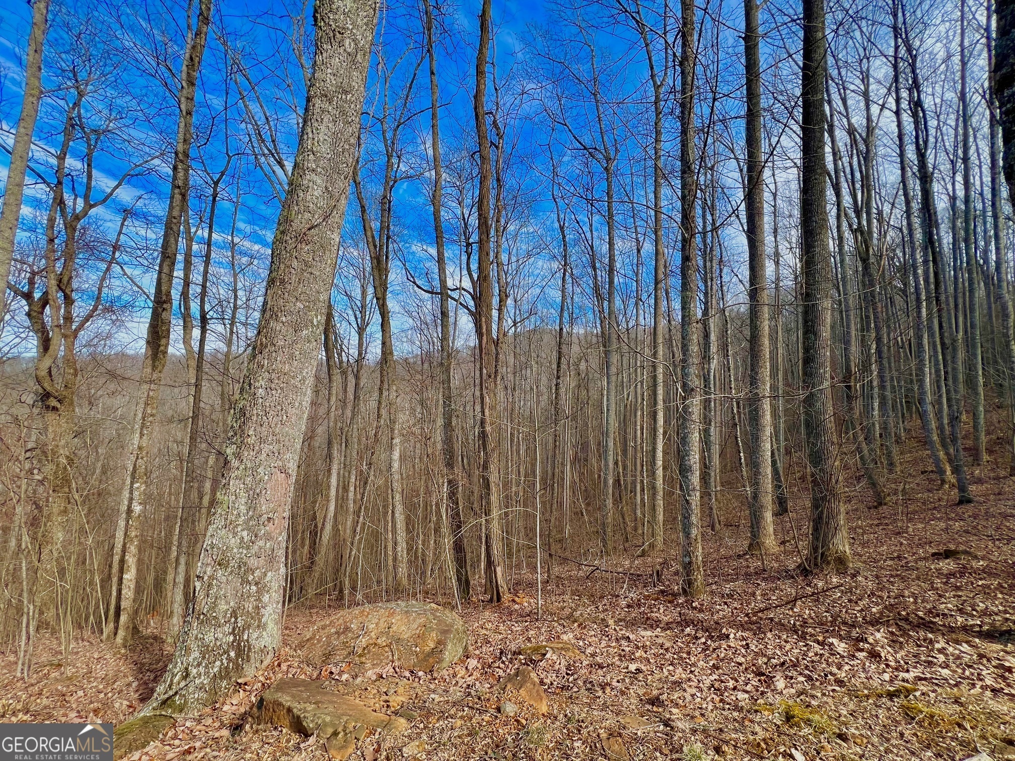 57 Rim Rock Young Harris GA 30582