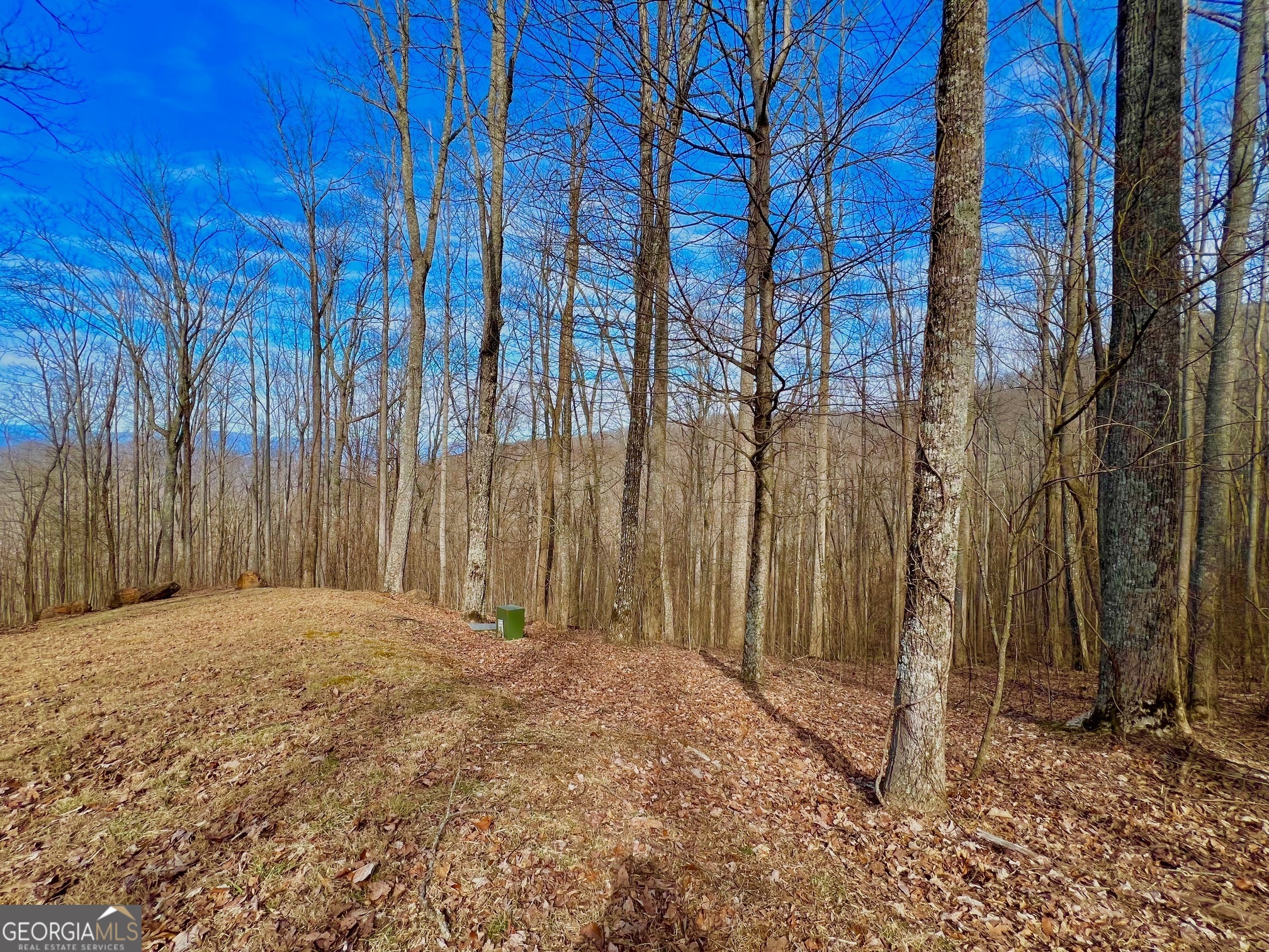 57 Rim Rock Young Harris GA 30582