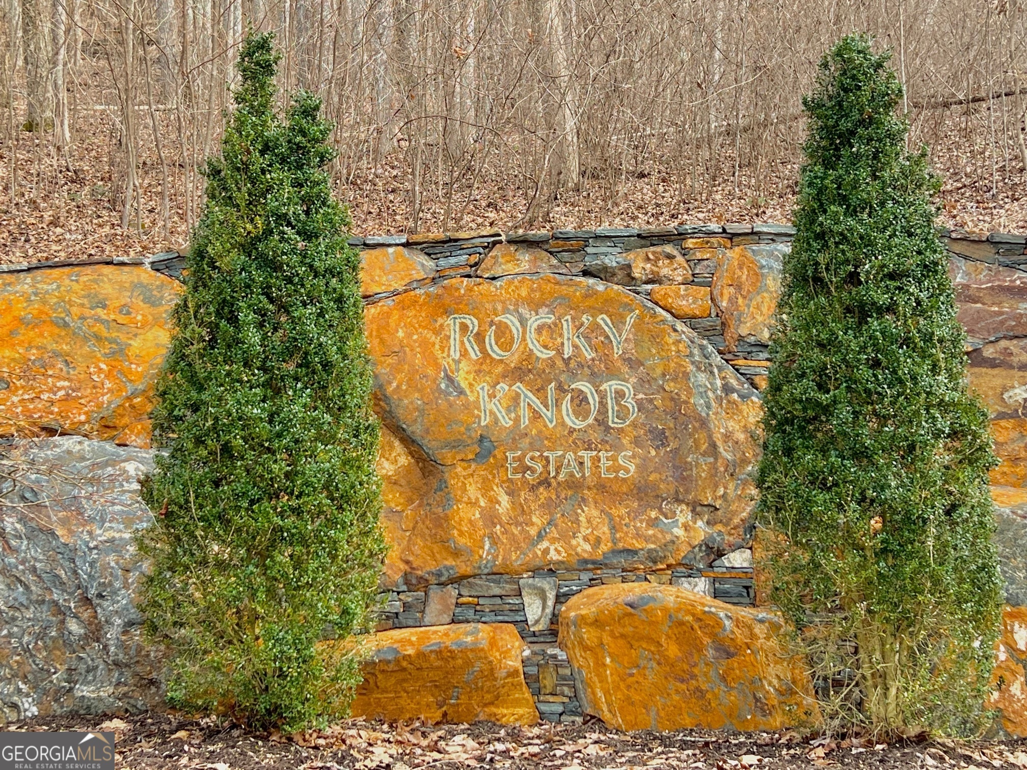 57 Rim Rock Young Harris GA 30582