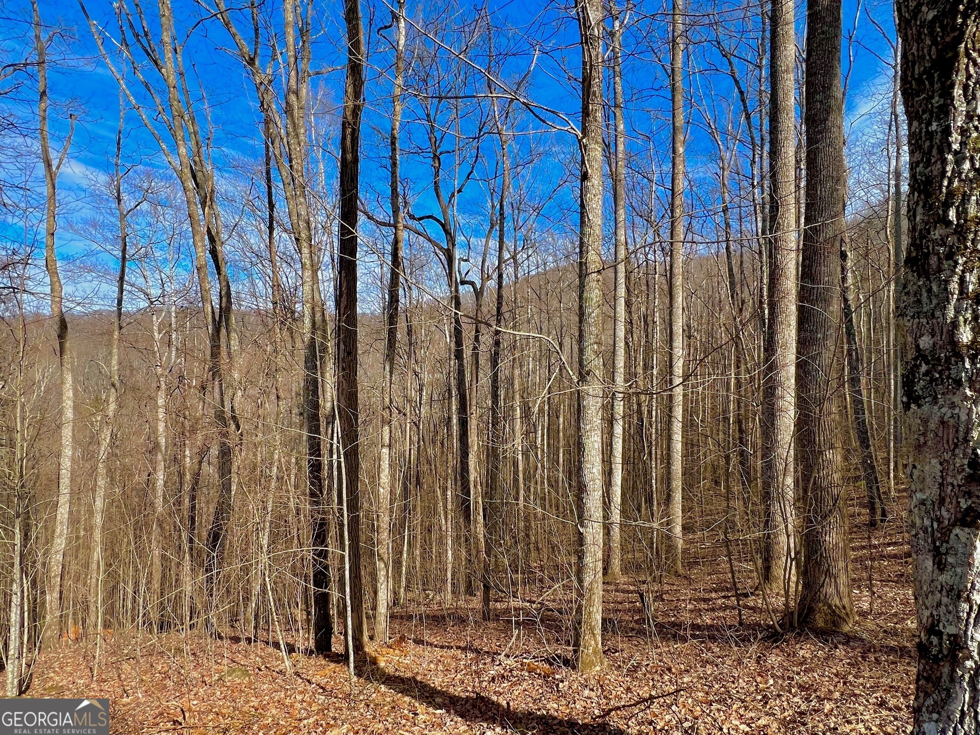 57 Rim Rock Young Harris GA 30582