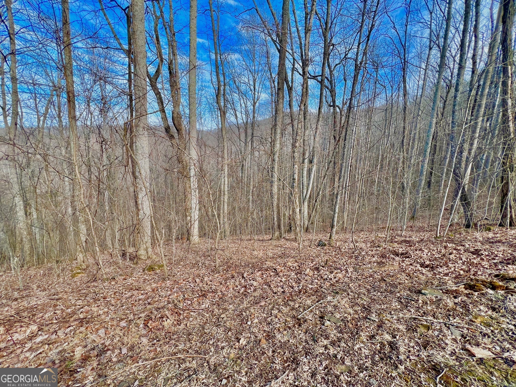57 Rim Rock Young Harris GA 30582