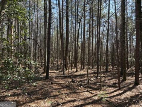343 Hank Fry Road Clarkesville GA 30523
