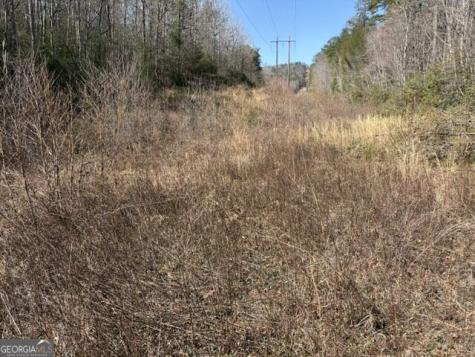 343 Hank Fry Road Clarkesville GA 30523