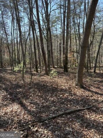 343 Hank Fry Road Clarkesville GA 30523