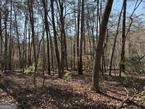 343 Hank Fry Road Clarkesville GA 30523
