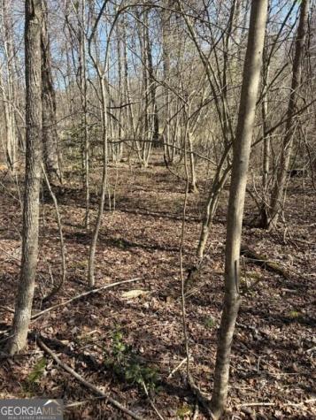 343 Hank Fry Road Clarkesville GA 30523