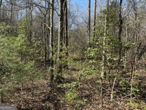 343 Hank Fry Road Clarkesville GA 30523