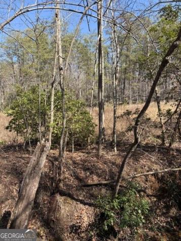 343 Hank Fry Road Clarkesville GA 30523