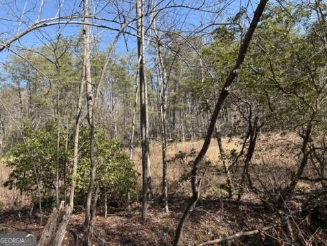 343 Hank Fry Road Clarkesville GA 30523