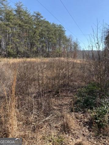 343 Hank Fry Road Clarkesville GA 30523