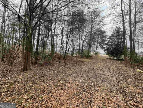 0 Holiness Campground Road Cleveland GA 30528