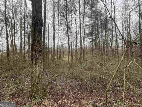 0 Holiness Campground Road Cleveland GA 30528