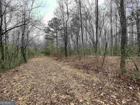 0 Holiness Campground Road Cleveland GA 30528