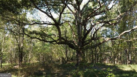 0 Holiness Campground Road Cleveland GA 30528