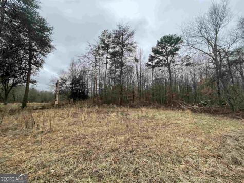 0 Holiness Campground Road Cleveland GA 30528