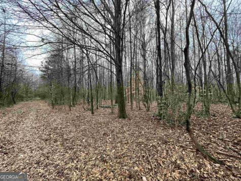 0 Holiness Campground Road Cleveland GA 30528