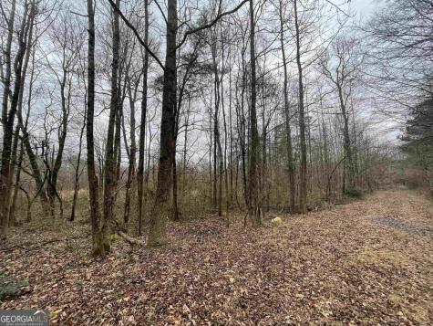 0 Holiness Campground Road Cleveland GA 30528