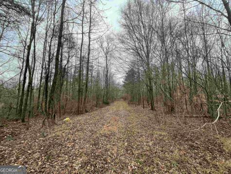 0 Holiness Campground Road Cleveland GA 30528