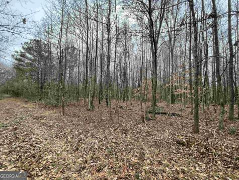 0 Holiness Campground Road Cleveland GA 30528