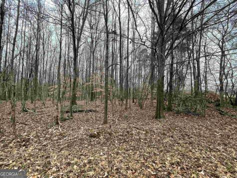 0 Holiness Campground Road Cleveland GA 30528