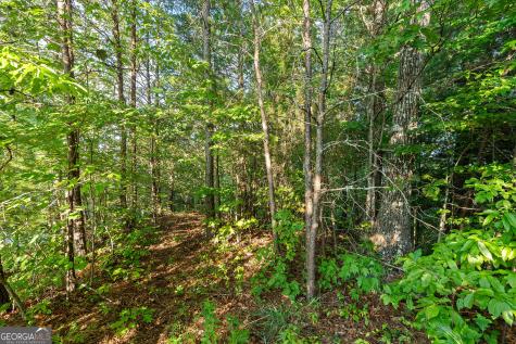 0 Grey Fox Trail B11 Clayton GA 30525