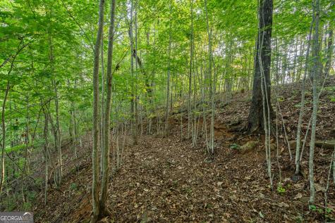0 Grey Fox Trail B11 Clayton GA 30525