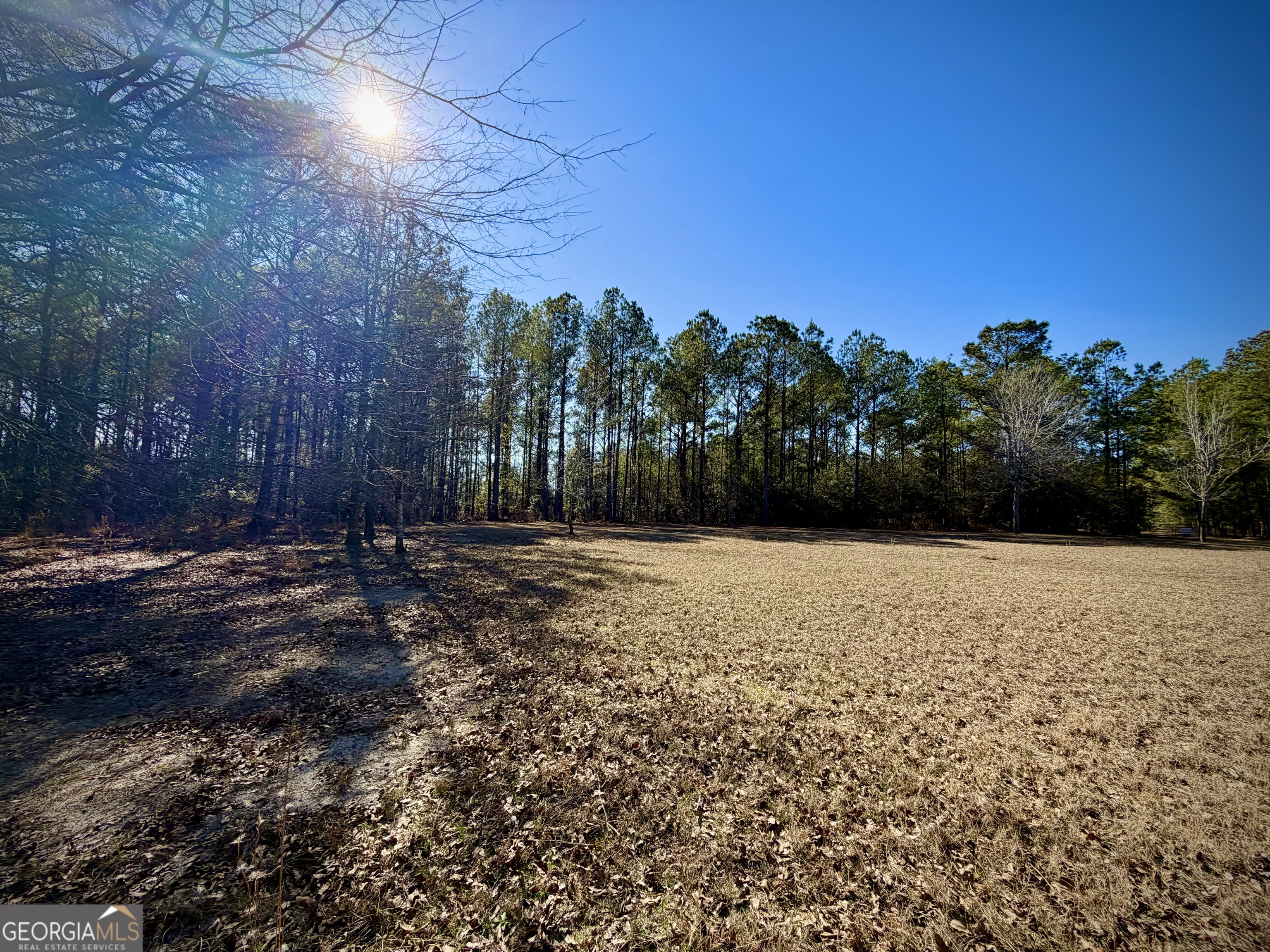114 Ohoopee Road Adrian GA 31002