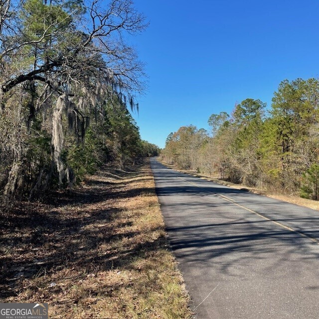 Lot A Pineville Road Buena Vista GA 31803