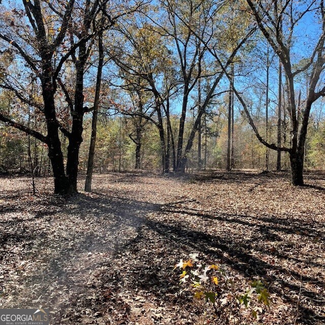 Lot A Pineville Road Buena Vista GA 31803