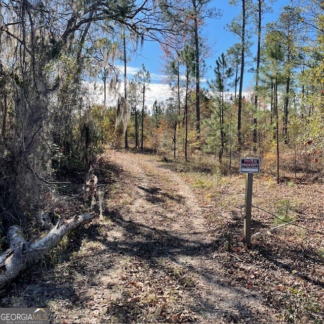 Lot A Pineville Road Buena Vista GA 31803